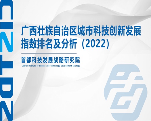 草小逼av.com【成果发布】广西壮族自治区城市科技创新发展指数排名及分析（2022）